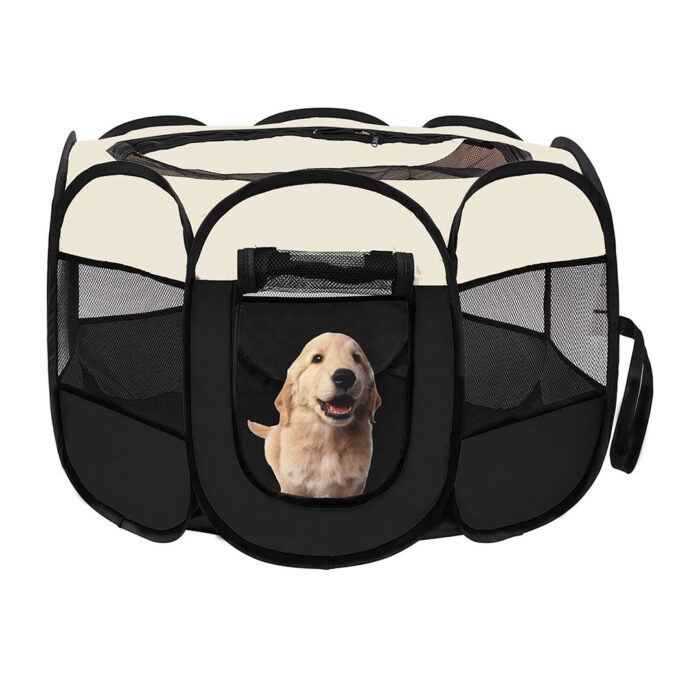 پارک برزنتی حیوانات خانگی